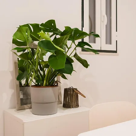 Large Luxury Penthouse 3 Bath 14 Guest *