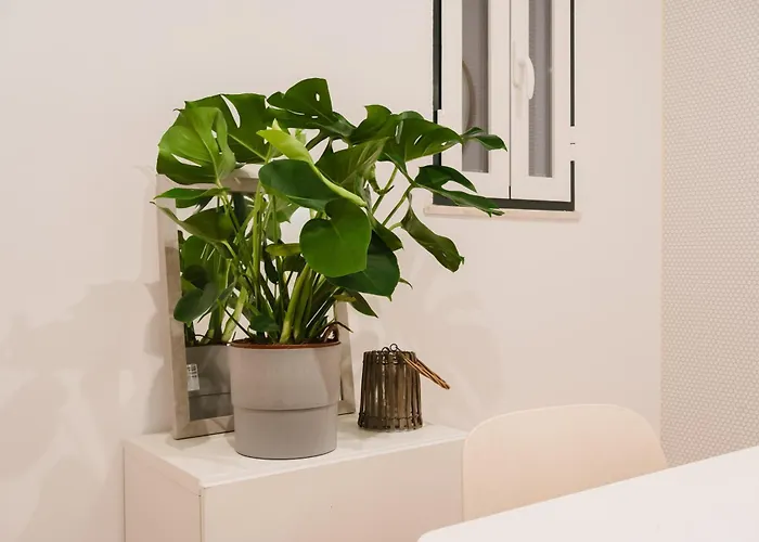 Downtown Penthouse Duplex 3 Bath 14 Guests *